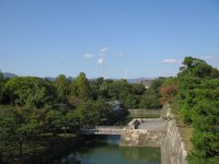 IMG_3321.JPG